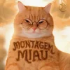 封面 Lenar & Leonardo P - Montagem Miau - Slowed Lenar & Leonardo P - Montagem Miau - Slowed