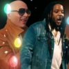 封面 Pitbull feat. Stephen Marley - Options Pitbull feat. Stephen Marley - Options