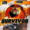 Мұқаба Survivor - Eye Of the tiger (Prime Remix) Survivor - Eye Of the tiger (Prime Remix)