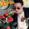 Мұқаба ЮГ 404 - Одинокая луна ЮГ 404 - Одинокая луна