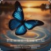 Мұқаба Rodle & Hilola Samirazar & Dndm Ft Umar Keyn - Femme Like U Rodle & Hilola Samirazar & Dndm Ft Umar Keyn - Femme Like U