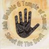 Мұқаба Jah Wobble & Temple Of Sound - Zaardub Jah Wobble & Temple Of Sound - Zaardub