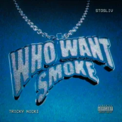 Мұқаба Tricky Nicki & STOSLIV - Who Want Smoke?
