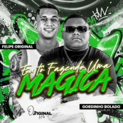 Мұқаба Gordinho Bolado & felipe original - Eu Tô Fazendo uma Mágica