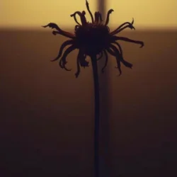 Мұқаба Neytan - Welcome to my mind