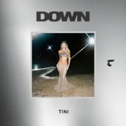 Мұқаба TINI - Down