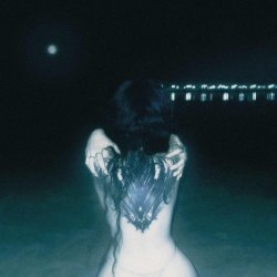 Мұқаба bulletrain - dragontattoo