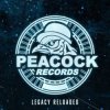 Мұқаба Dr. Peacock & Hyrule War - Imagination (Original Mix) Dr. Peacock & Hyrule War - Imagination (Original Mix)
