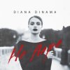 Мұқаба DIANA DINAMA - Не пара DIANA DINAMA - Не пара