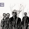 Мұқаба Tom Petty - Accused Of Love Tom Petty - Accused Of Love