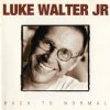 Мұқаба Luke Walter Jr - As The Crow Flies Luke Walter Jr - As The Crow Flies