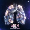 Мұқаба Mark With A K feat. Jelle van Dael & Madoc - Adem Mark With A K feat. Jelle van Dael & Madoc - Adem