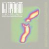 Portada DJ Hybrid - Arcadia DJ Hybrid - Arcadia