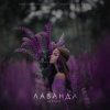 封面 Шалих - Лаванда Шалих - Лаванда