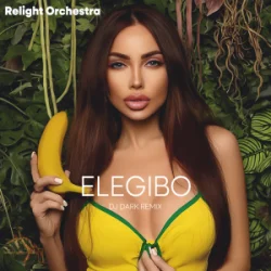 Мұқаба Relight Orchestra - Elegibo (Dj Dark Remix)
