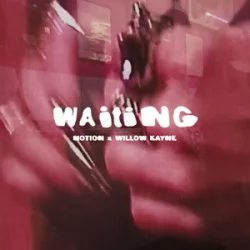 Мұқаба NOTION & Willow Kayne - WAITING