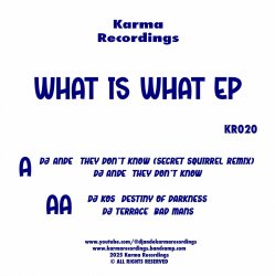 Мұқаба DJ Ande & DJ KOS & DJ Terrace - They Don't Know (Secret Squirrel Remix)