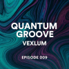 Мұқаба Vexlum - Quantum Groove 009 Vexlum - Quantum Groove 009