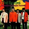 Мұқаба The Beatles - Strawberry Fields Forever The Beatles - Strawberry Fields Forever