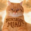 封面 Lenar - Montagem Miau Lenar - Montagem Miau