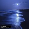 Мұқаба Alosa, Booty Leak, Elle Blue - One Night Alosa, Booty Leak, Elle Blue - One Night
