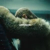Мұқаба Beyoncé - All Night Beyoncé - All Night