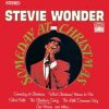 Мұқаба Stevie Wonder - Ave Maria Stevie Wonder - Ave Maria