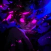 封面 Dj Samir & Fyex - Montagem Rave Eterno Dj Samir & Fyex - Montagem Rave Eterno