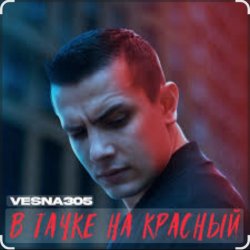 Мұқаба VESNA305 - В тачке на красный