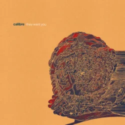 Мұқаба Calibre - dim light