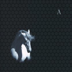 Мұқаба Аквариум - Сокол