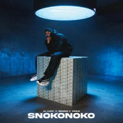 Мұқаба Al Xapo & Benzoo & EeQue - SNOKONOKO