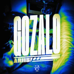 Мұқаба Ariis - Gozalo