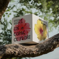 Мұқаба Stefan Hrusca - Un copac cu flori (Mentol Remix)