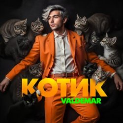 Мұқаба VALDEMAR - Котик