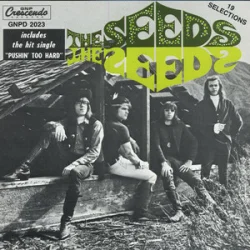Мұқаба The Seeds - Can't Seem To Make You Mine