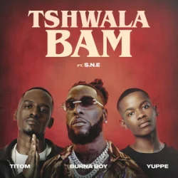 Мұқаба TitoM & Yuppe - Tshwala Bam [feat. S.N.E]