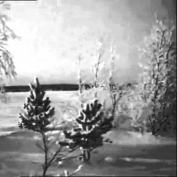Мұқаба Валентина Дворянинова - Песенка про зиму