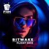 Мұқаба Bitwake - Flight 3033 Bitwake - Flight 3033