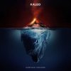 Мұқаба Kaleo - Skinny Kaleo - Skinny