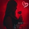 Мұқаба Amir Nazari - Love Alone Is The True Amir Nazari - Love Alone Is The True