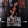 Pochette Денис Лирик - Не звони по пьяни Денис Лирик - Не звони по пьяни