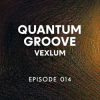 Мұқаба Vexlum - Quantum Groove 014 Vexlum - Quantum Groove 014