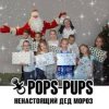 封面 Pops-Pups - Ненастоящий Дед Мороз Pops-Pups - Ненастоящий Дед Мороз