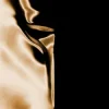 Мұқаба Claptone & Hannah Boleyn - Black & Gold Claptone & Hannah Boleyn - Black & Gold