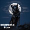 Мұқаба BallaDonna - Волк BallaDonna - Волк
