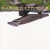 Мұқаба DJ Sakin & Friends - Protect Your Mind (Braveheart) (Vocal Radio Mix) DJ Sakin & Friends - Protect Your Mind (Braveheart) (Vocal Radio Mix)
