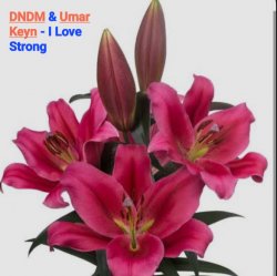 Мұқаба DNDM & Umar Keyn - I Love Strong