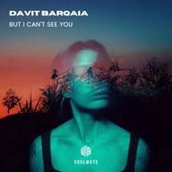 Мұқаба Davit Barqaia - But I Can t See You