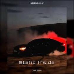 Мұқаба DEENI - Static Inside